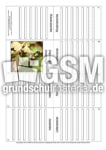 Faltbuch-Goldfliege.pdf